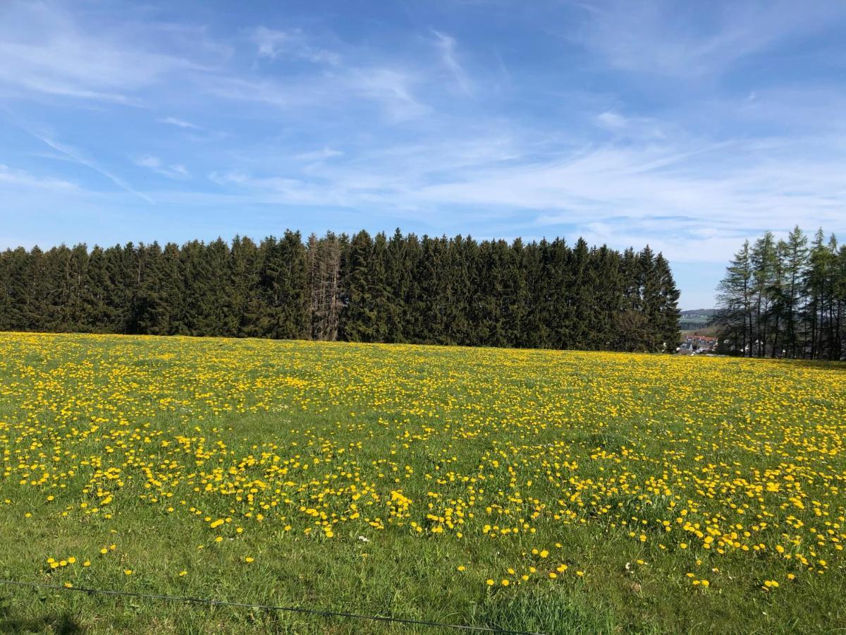 Ferienwohnung Am Wald Хахенбург Экстерьер фото